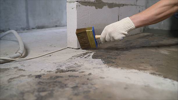 Top rated local Waterproofing specialists in Old Hickory, TN